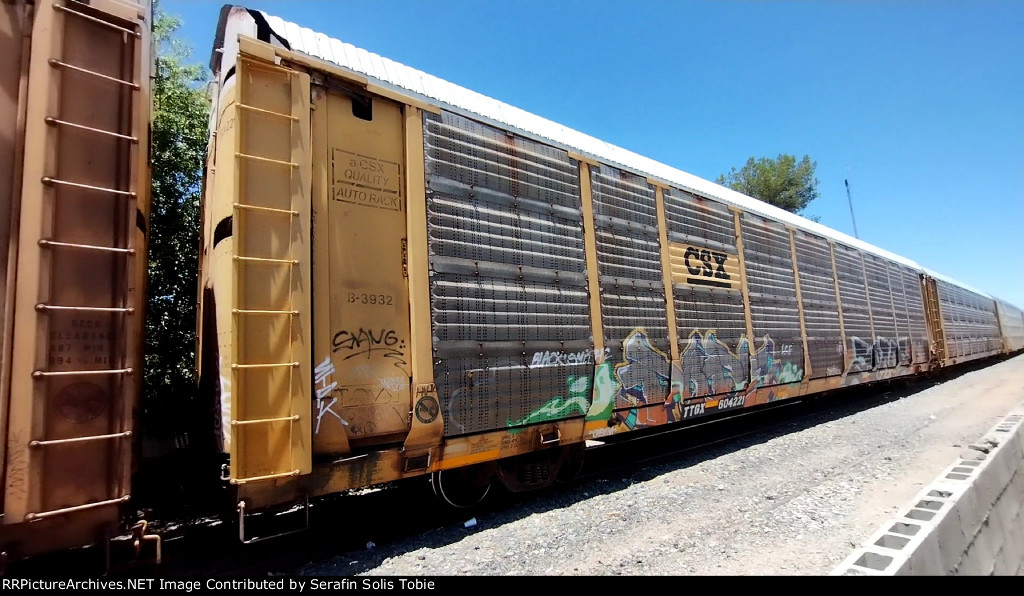 CSX B3932 TTGX 604221